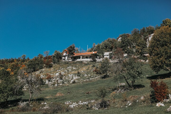 Mindful Yoga Retreat in Nature