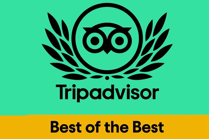 Massage Experience with Certified Therapists & Pickup Drop-Off