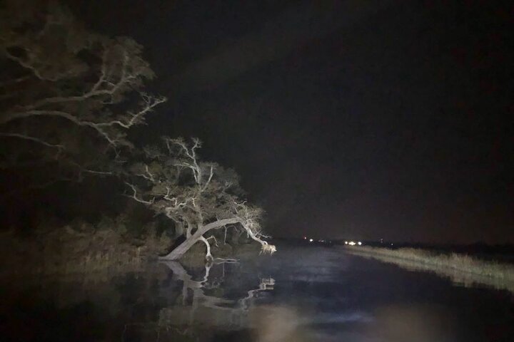 Historical Haunted Bayou Cruise