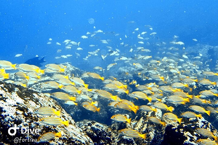 Santa Fe Island & Playa Escondida Snorkeling Day Trip
