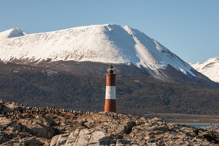 National Park with Train and Navigation Beagle Channel Full Day Tour