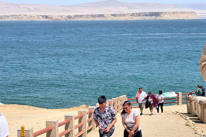 BALLESTAS ISLANDS + Paracas and Candelabra Reserve – Ica and Paracas