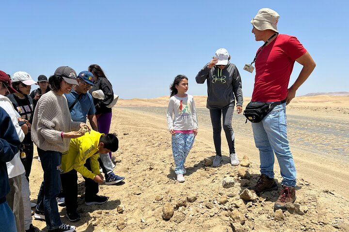 BALLESTAS ISLANDS + Paracas and Candelabra Reserve – Ica and Paracas