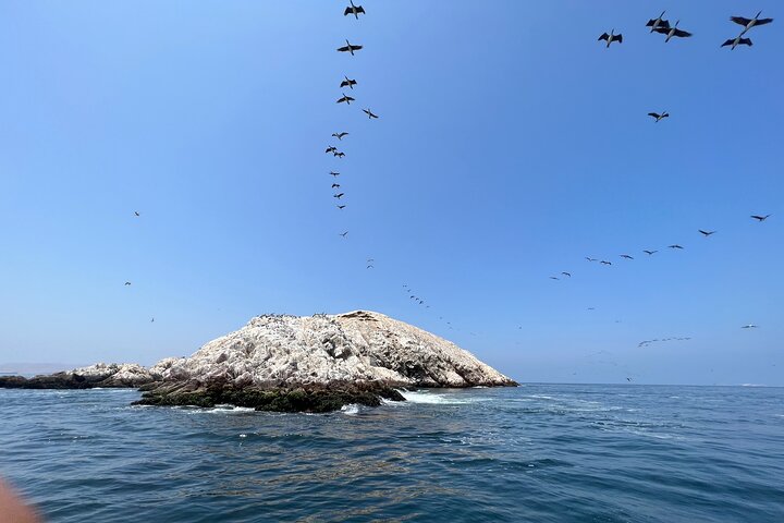 BALLESTAS ISLANDS + Paracas and Candelabra Reserve – Ica and Paracas