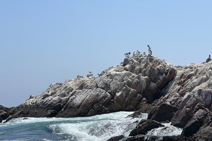 BALLESTAS ISLANDS + Paracas and Candelabra Reserve – Ica and Paracas