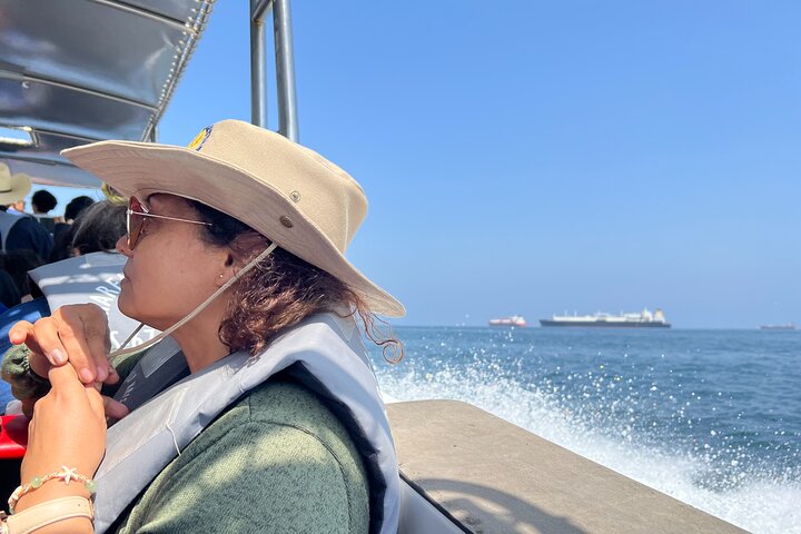 BALLESTAS ISLANDS + Paracas and Candelabra Reserve – Ica and Paracas