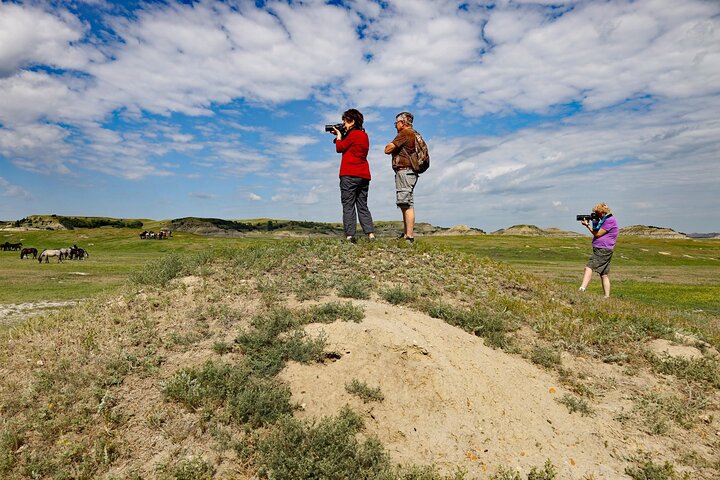 Chasing Horses Back to Nature Experience in North Dakota
