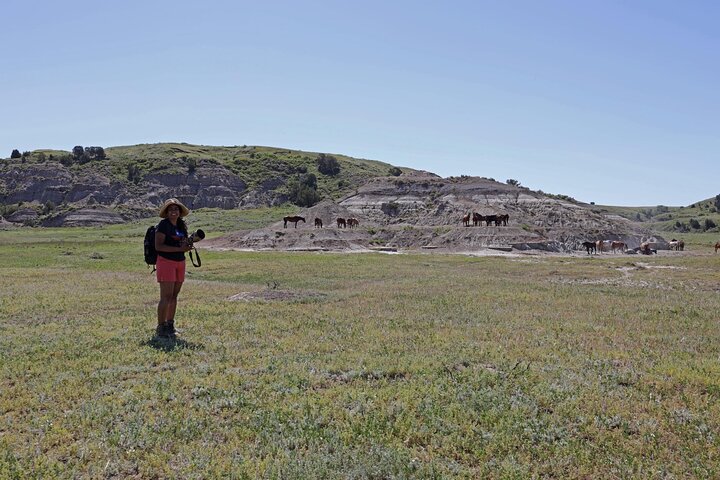 Chasing Horses Back to Nature Experience in North Dakota