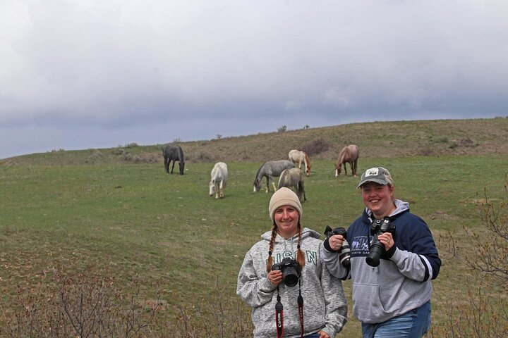 Chasing Horses Back to Nature Experience in North Dakota