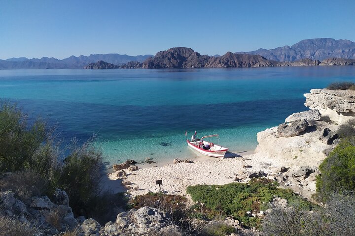 Danzante & Carmen Islands Private Adventure from Villa del Palmar