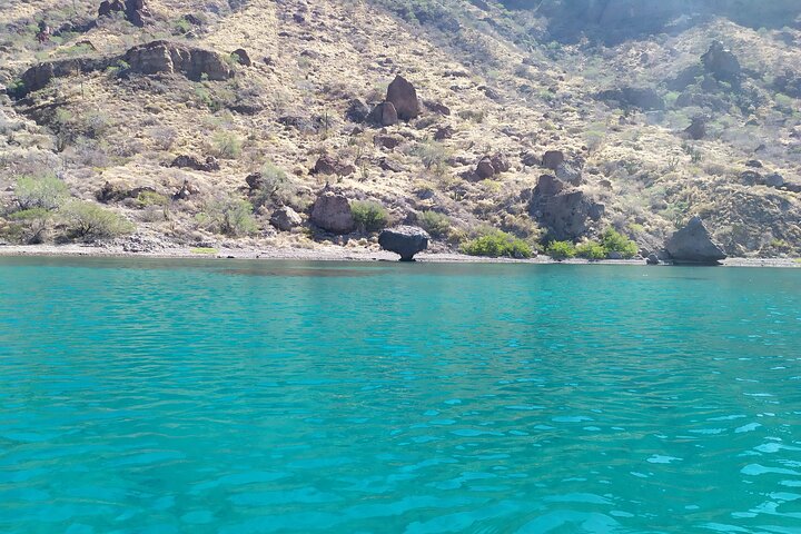 Danzante & Carmen Islands Private Adventure from Villa del Palmar