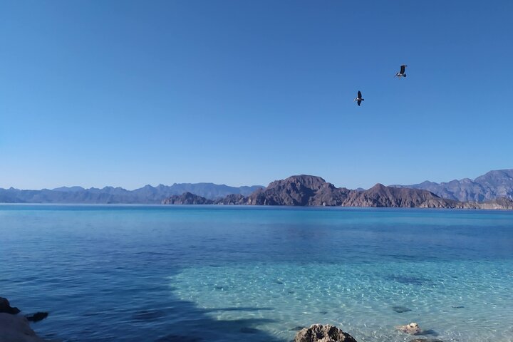 Danzante & Carmen Islands Private Adventure from Villa del Palmar