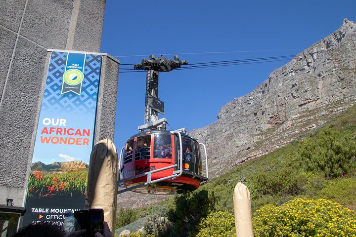 Table Mountain, Penguins & Cape Point Group Tour from Cape Town