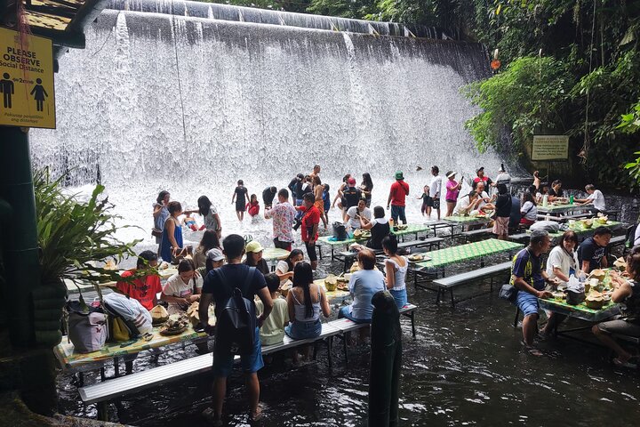 Immerse in Culture: Villa Escudero Coconut Plantation Experience