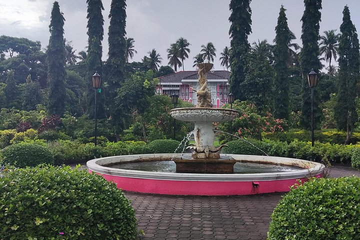 Immerse in Culture: Villa Escudero Coconut Plantation Experience