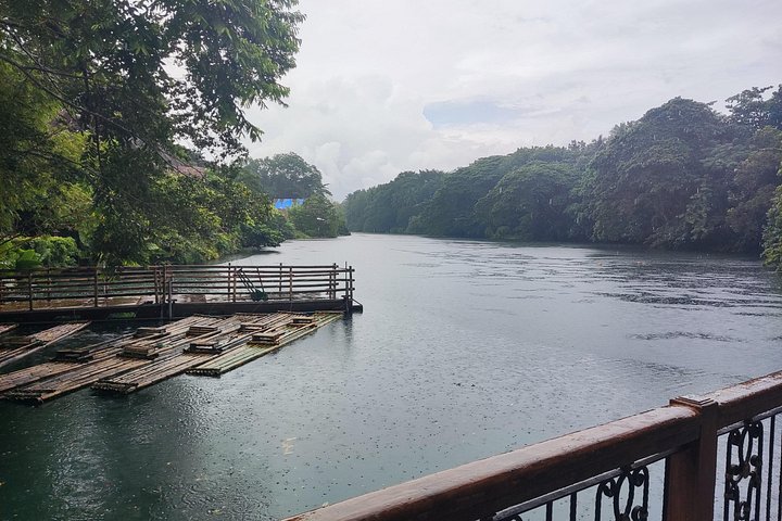 Immerse in Culture: Villa Escudero Coconut Plantation Experience