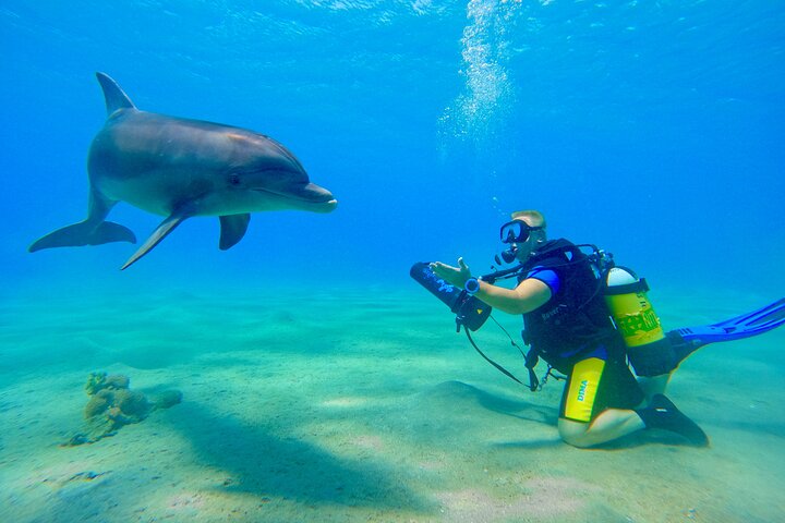 Private Scuba Diving Tour with Transportation and Guide