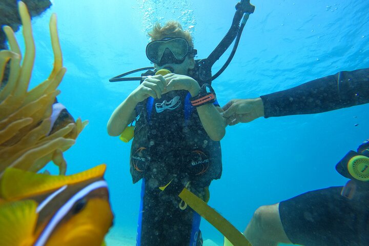 Private Scuba Diving Tour with Transportation and Guide