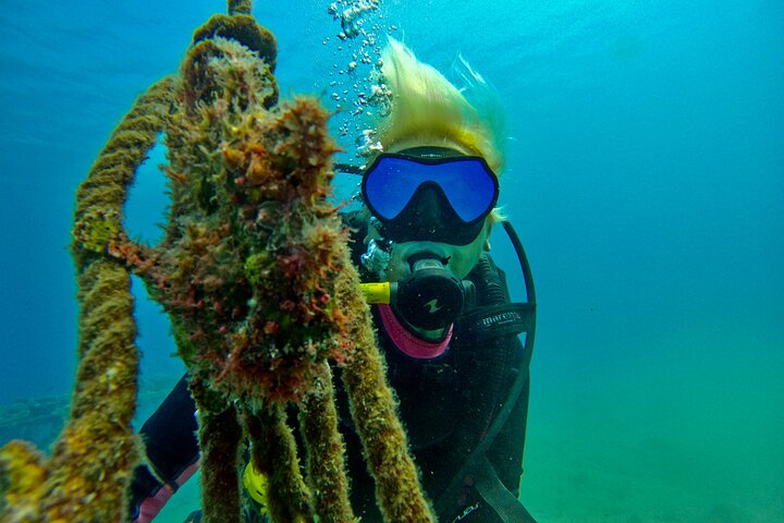 Private Scuba Diving Tour with Transportation and Guide