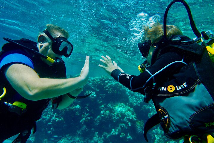 Private Scuba Diving Tour with Transportation and Guide