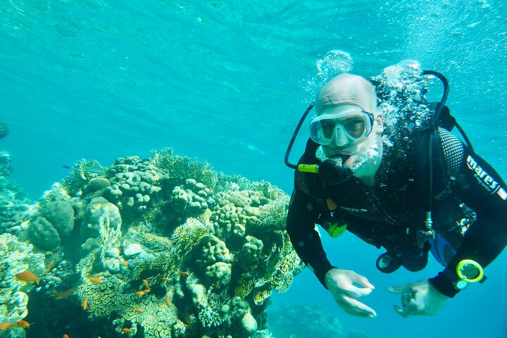 Private Scuba Diving Tour with Transportation and Guide