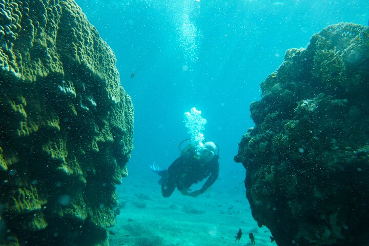 Private Scuba Diving Tour with Transportation and Guide