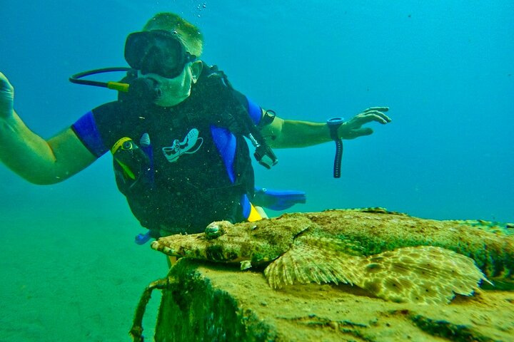 Private Scuba Diving Tour with Transportation and Guide