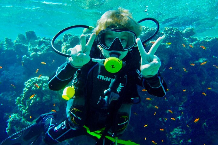 Private Scuba Diving Tour with Transportation and Guide