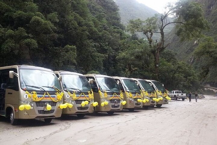 Bus Ticket To Machu Picchu (Up & Down)
