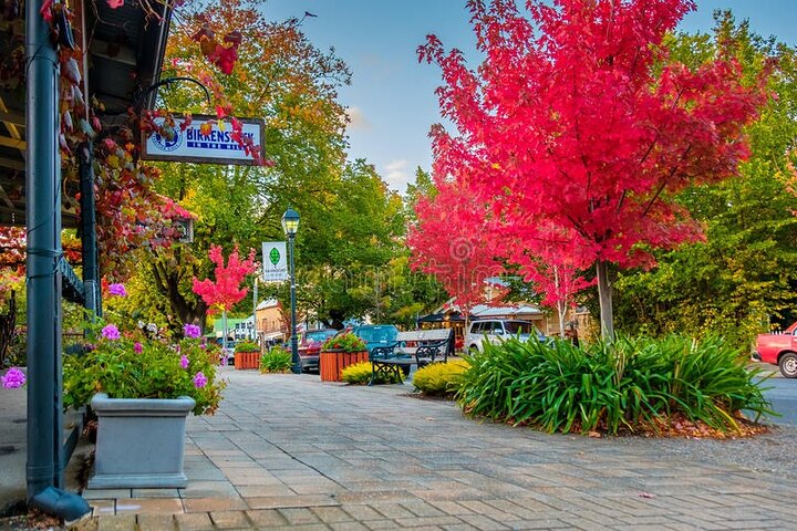 Hahndorf & Barossa & Maggie Beers (2 wineries and Lunch Included)