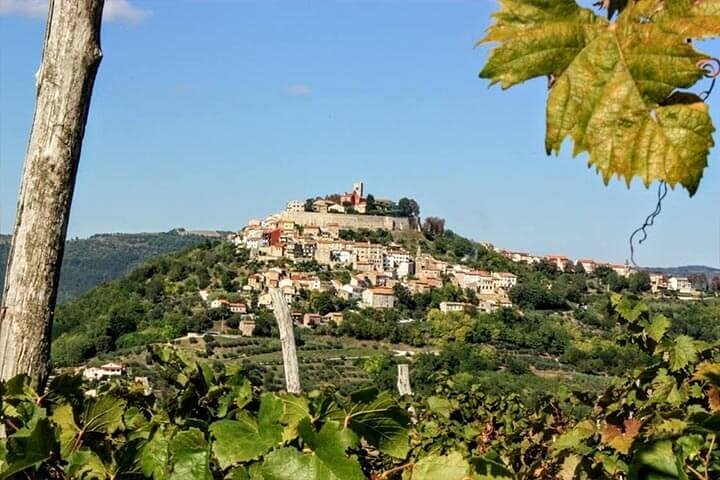 Istrian Inland: Motovun and Grožnjan half day tour (From Rovinj)