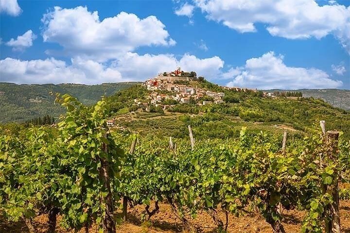 Istrian Inland: Motovun and Grožnjan half day tour (From Rovinj)