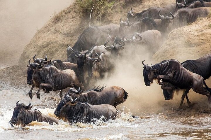 6 Days best adventure kilimanjaro ,Tarangire ,Serengeti &Ngorongoro crater
