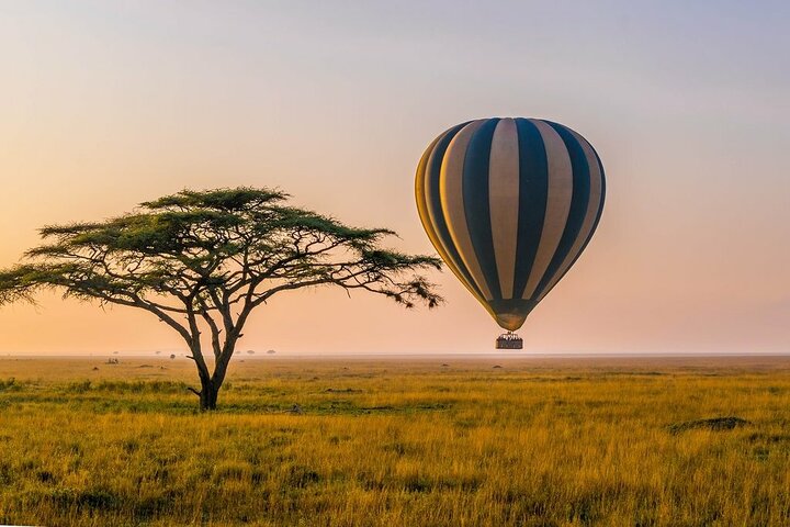 6 Days best adventure kilimanjaro ,Tarangire ,Serengeti &Ngorongoro crater