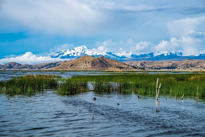 Private Transfer From Chivay to Puno With a 2 Hour Stop