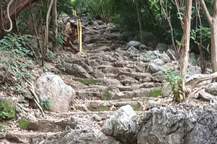 Sam Roi Yod National Park & Praya Nakhon Cave Private Tour from Hua Hin