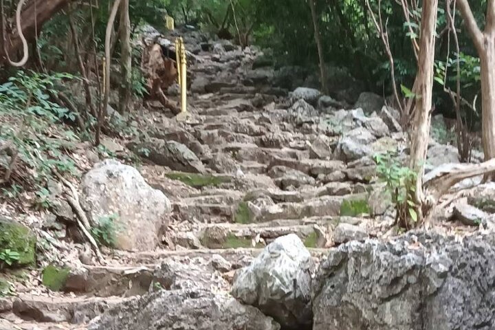 Sam Roi Yod National Park & Praya Nakhon Cave Join Group Tour