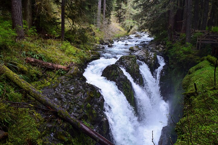 Sol Duc, Lake Crescent, and Hurricane Ridge Guided Tour in Olympic National Park