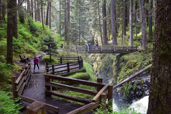 Sol Duc, Lake Crescent, and Hurricane Ridge Guided Tour in Olympic National Park