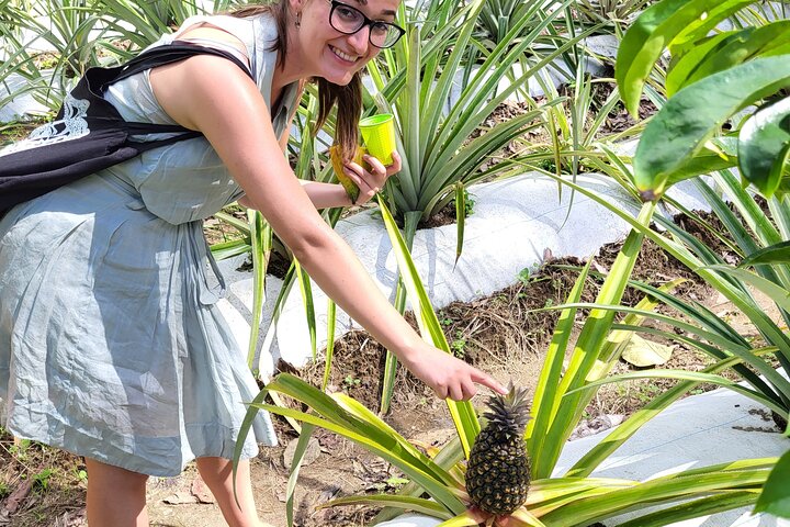 St. Lucia Food and Rum Tour - Taste authentic St. Lucian Food and Culture