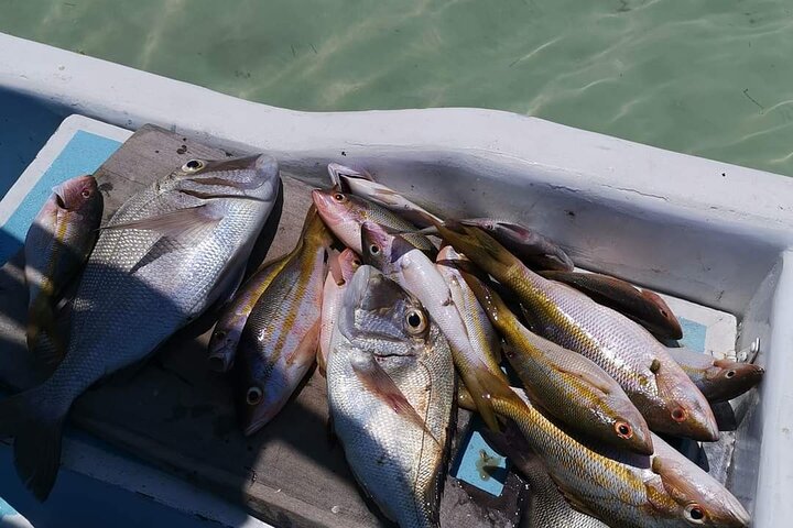 Private Fishing Tour in Holbox Island with Lunch and Pick up
