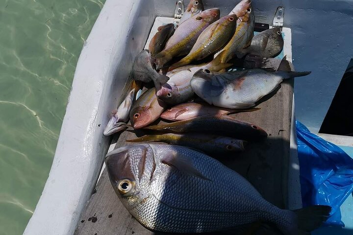 Private Fishing Tour in Holbox Island with Lunch and Pick up