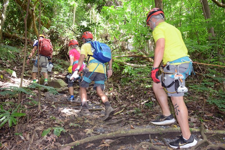 El Yunque Ziplining in Puerto Rico