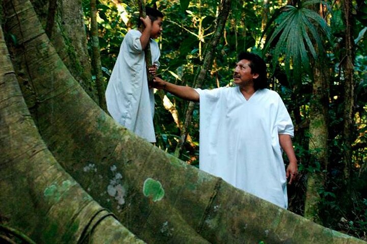 Lacandona Jungle 1 Day (hiking)