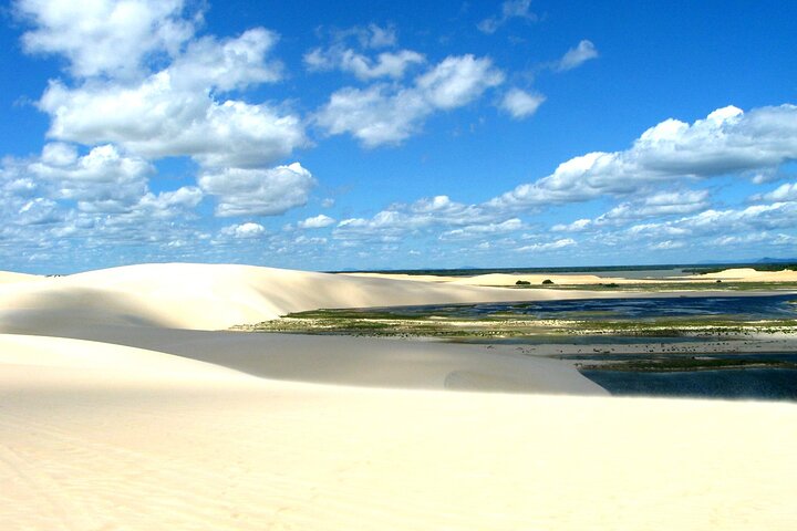Jericoacoara Tour in 1 Day