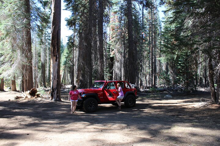 Jeep 4 X 4 Yosemite Park Tour with Hotel Pickup