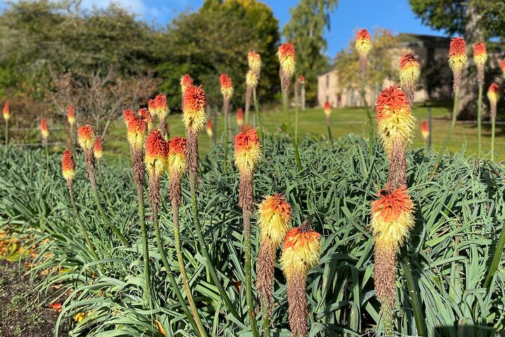 Aberdeen Private Half Day Tour: Dunnottar, Crathes Castles +more