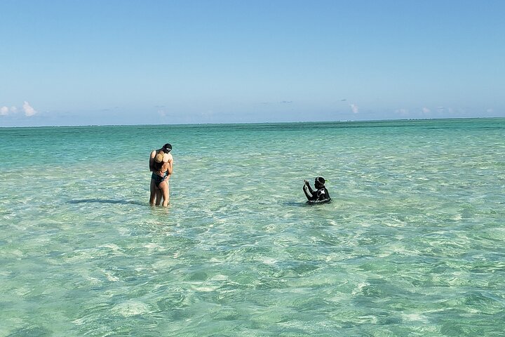 Mnemba Island snorkeling and Swimming with Dolphin