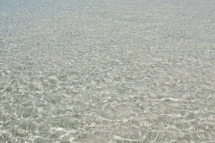 Mnemba Island snorkeling and Swimming with Dolphin