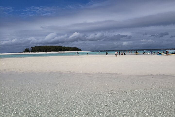 Mnemba Island snorkeling and Swimming with Dolphin